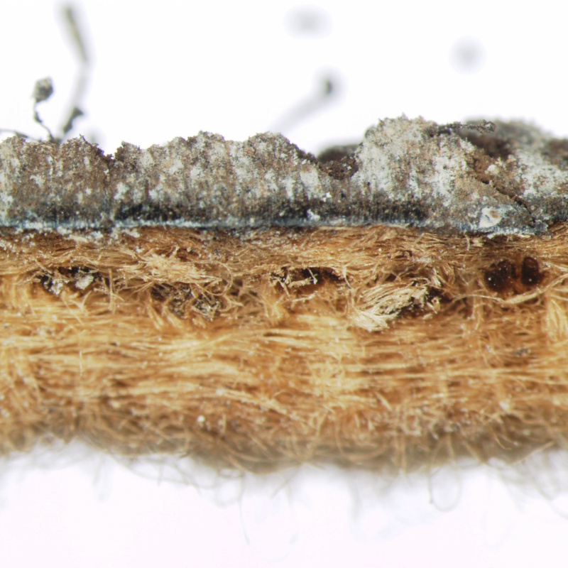 Technická podpora / nový článok - foto Technická podpora / nový článok - foto